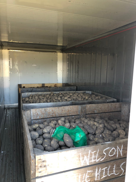 Tasbulk: Supporting Agricultural Innovation with Refrigerated Potato Storage Solutions